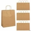 Hot Sale ⭐ 10 1/2" x 5 1/4" x 13" Large Brown Kraft Paper Gift Bags - 12 Pc. 🎁 -Easter Crafts Sales 10 1 2 x 5 1 4 x 13 large brown kraft paper gift bags 12 pc 48 632