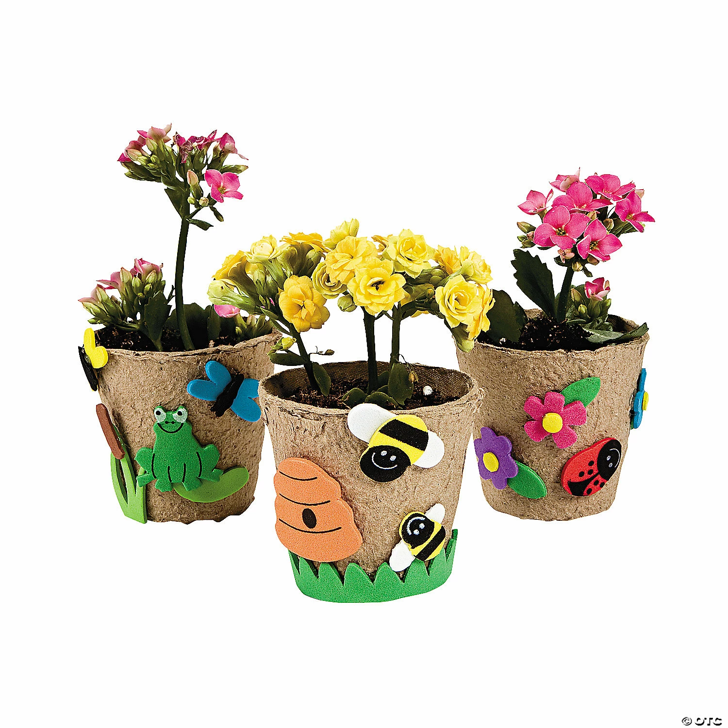 Promo π― Garden Pot Craft Kit - Makes 12 π 3 Promo π― Garden Pot Craft Kit - Makes 12 π