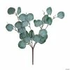 Best reviews of π₯ Silver Dollar Eucalyptus Stems - 3 Pc. π€© 1 Best reviews of π₯ Silver Dollar Eucalyptus Stems - 3 Pc. π€© -Easter Crafts Sales silver dollar eucalyptus stems 3 pc 13958901