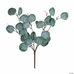 Best reviews of 🔥 Silver Dollar Eucalyptus Stems - 3 Pc. 🤩