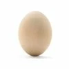 Outlet ⌛ Woodpeckers Crafts, DIY Unfinished Wood 2-1/2" Egg, Pack of 24 🎉 -Easter Crafts Sales woodpeckers crafts diy unfinished wood 2 1 2 egg pack of 2414121957NOWA